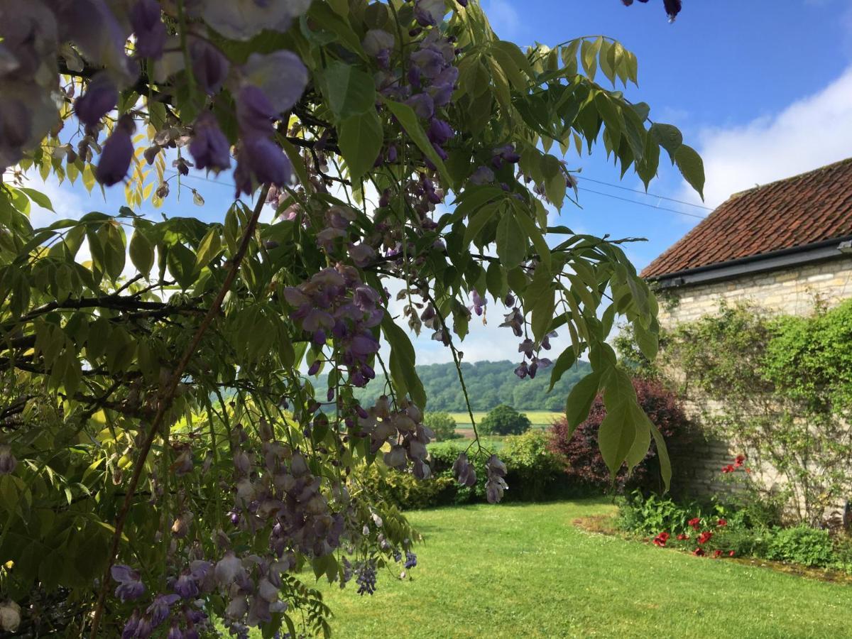 HurcotPeaceful Stone Barn Conversion In Somerset别墅 外观 照片